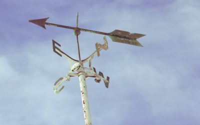 Are You in Alignment with Your Values?