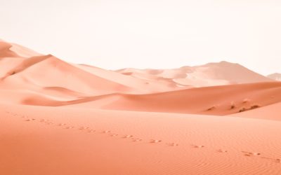 Common Misconceptions About High-Achieving Introverts