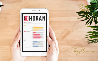 What the Hogan Assessment Revealed to Me About My Leadership Style